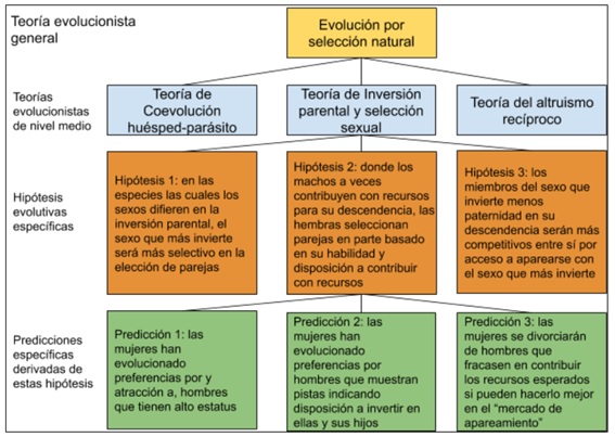 SUPERNORMAL STIMULI: Definición y EJEMPLOS Esenciales 2 supernormal stimuli definicion y ejemplos esenciales