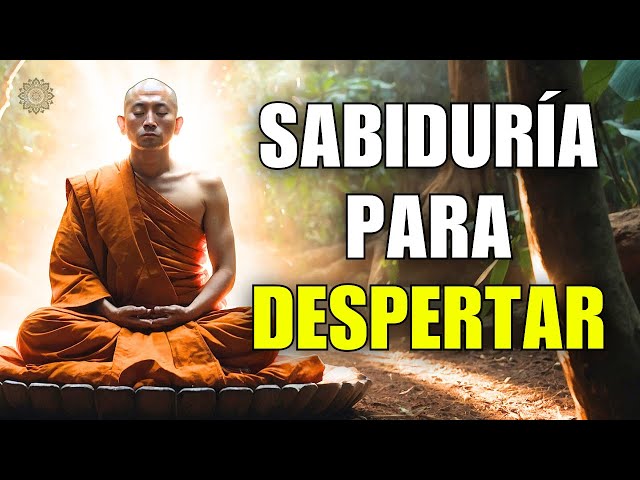 Sutras del CORAZÓN: Sabiduría BUDISTA para la VIDA diaria 2 sutras del corazon sabiduria budista para la vida diaria