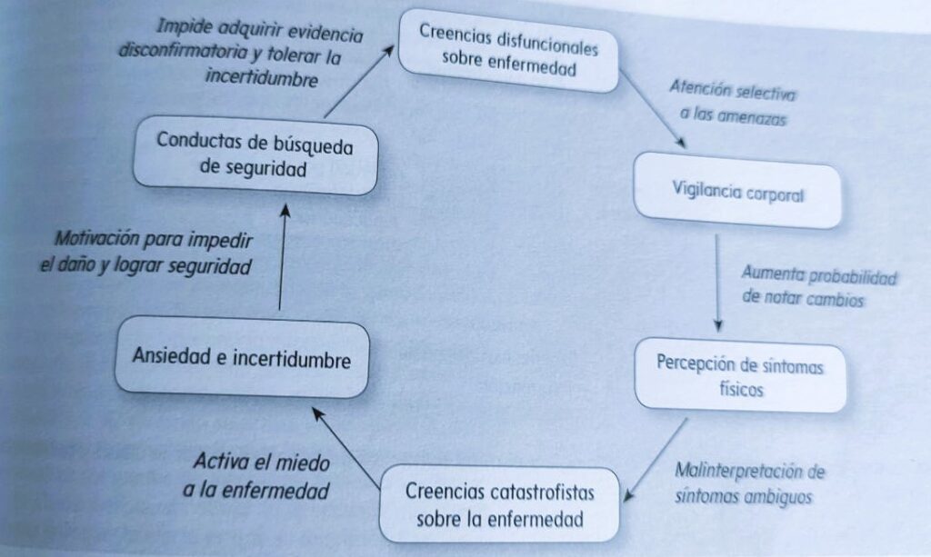 TEA vs TEPT: Diferencias y SIMILITUDES que DEBES CONOCER 2 tea vs tept diferencias y similitudes que debes conocer