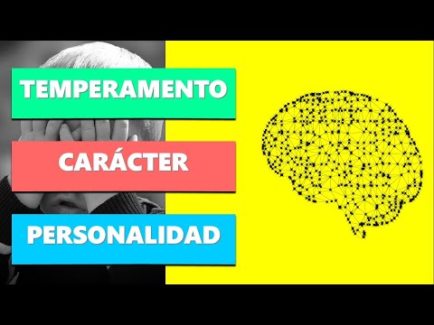 temperamento caracter y personalidad descubre sus claves