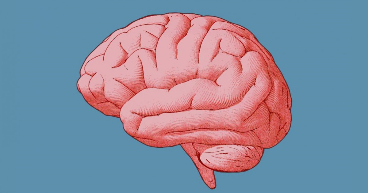 TEORÍA COMPUTACIONAL de la MENTE - En qué CONSISTE 2 teoria computacional de la mente en que consiste