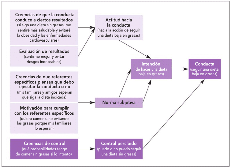teoria de la accion razonada ejemplos claros y utiles