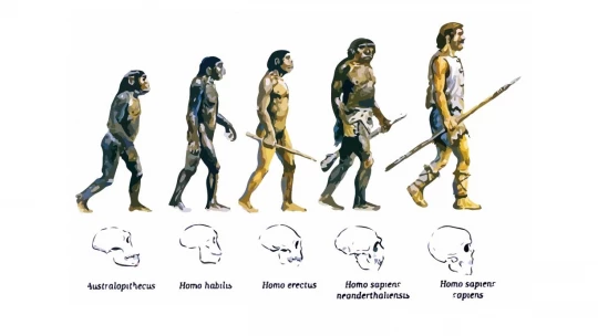 Teoría de la EVOLUCIÓN BIOLÓGICA - Qué es y QUÉ EXPLICA 2 teoria de la evolucion biologica que es y que