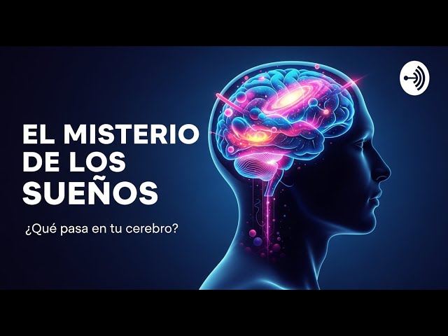 Teorías del SUEÑO - Descubre los SECRETOS de tu MENTE 2 teorias del sueno descubre los secretos de tu mente