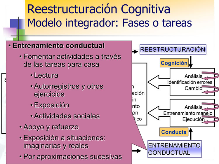 Terapia Metacognitiva: CARACTERÍSTICAS y EFECTOS PODEROSOS 2 terapia metacognitiva caracteristicas y efectos poderosos