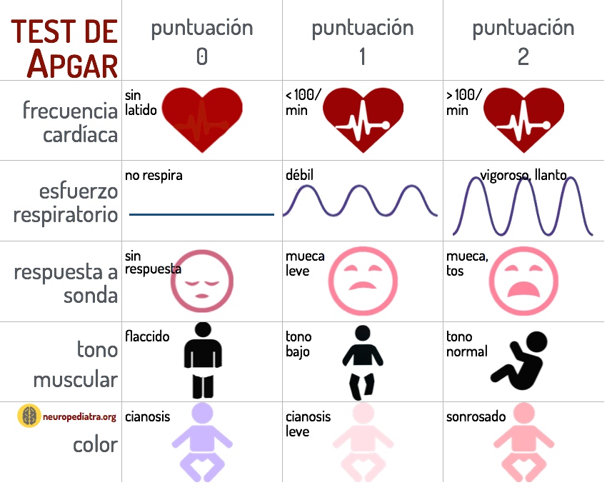 test de apgar todo lo que necesitas saber en minutos