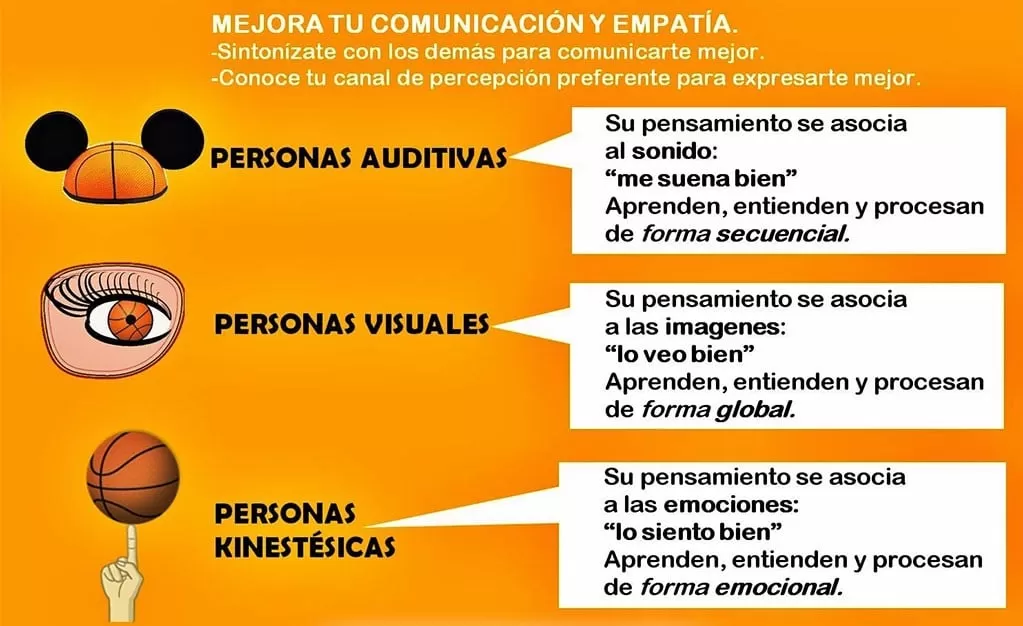 Test de ESTILOS de APRENDIZAJE - Descubre el MEJOR para ti 2 test de estilos de aprendizaje descubre el mejor para ti
