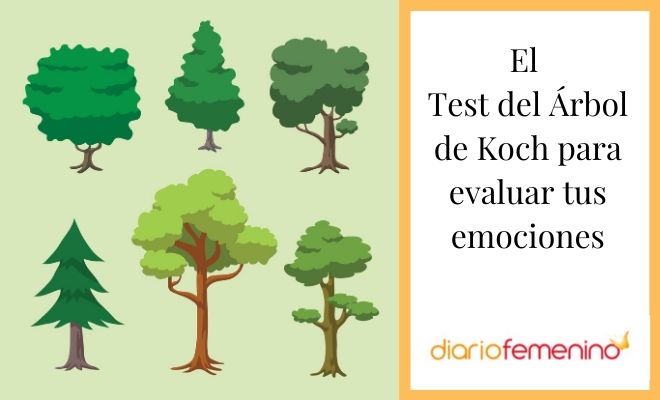 Test del ÁRBOL - INTERPRETACIÓN y Significado en PSICOLOGÍA 2 test del arbol interpretacion y significado en psicologia