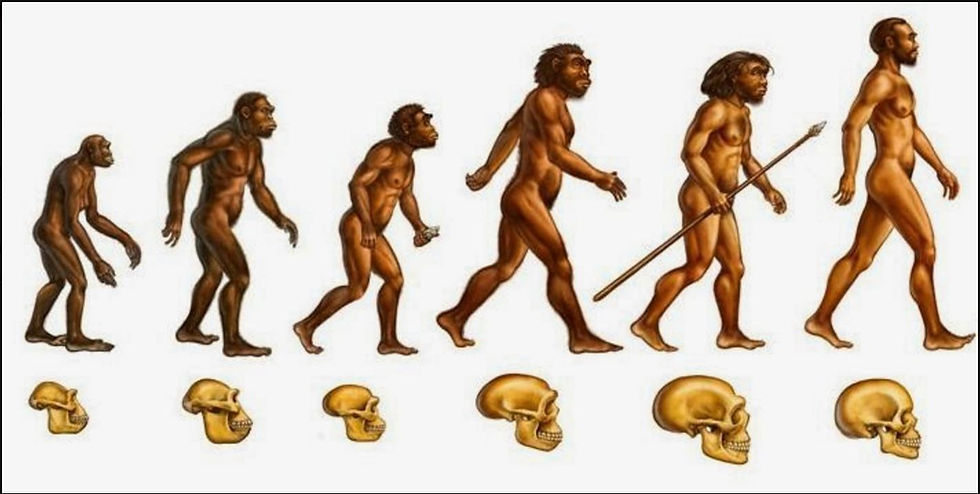 Tipos de ANTROPOLOGÍA: Descubre las 4 RAMAS ESENCIALES 2 tipos de antropologia descubre las 4 ramas esenciales