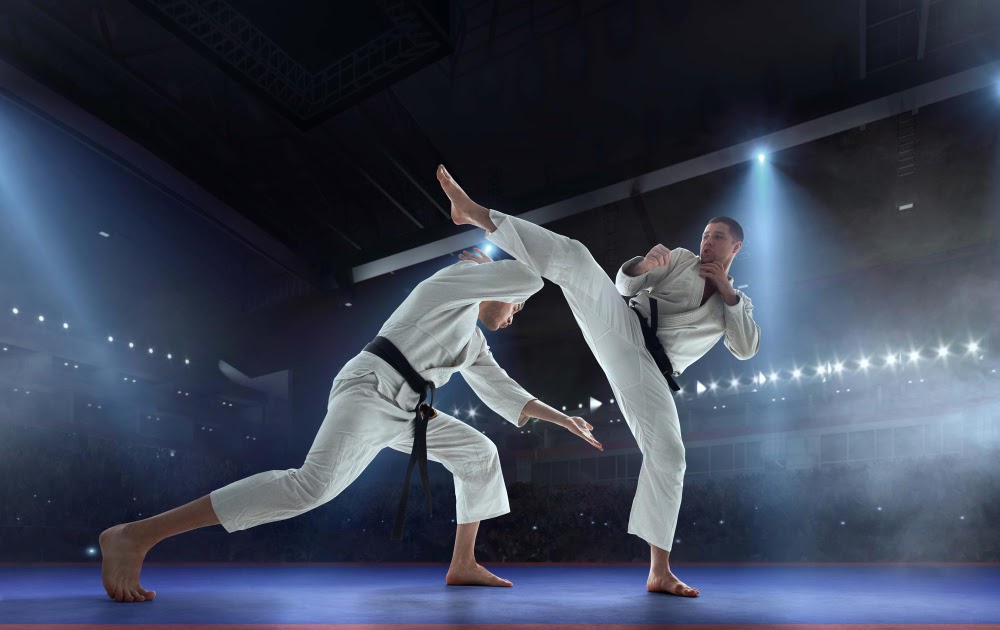 Tipos de ARTES MARCIALES - Descubre los 14 MÁS POPULARES 2 tipos de artes marciales descubre los 14 mas populares