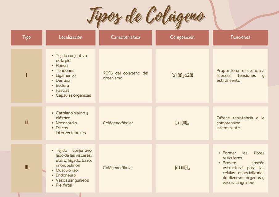 tipos de colageno que es y sus caracteristicas clave