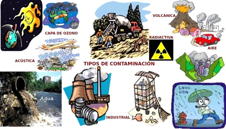 tipos de contaminacion ambiental impacto en el ecosistema