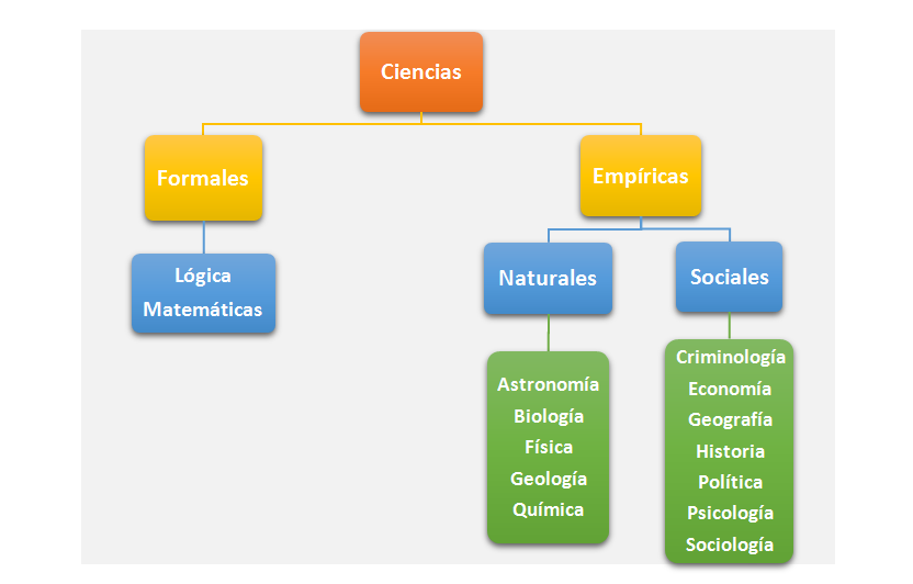 Tipos de CRIMENES: 24 CLASIFICACIONES que DEBES CONOCER 2 tipos de crimenes 24 clasificaciones que debes conocer
