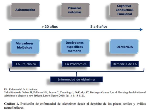 tipos de demencia las 3 claves sobre perdida cognitiva