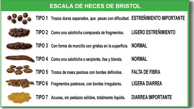 tipos de diarrea clasificacion y caracteristicas esenciales