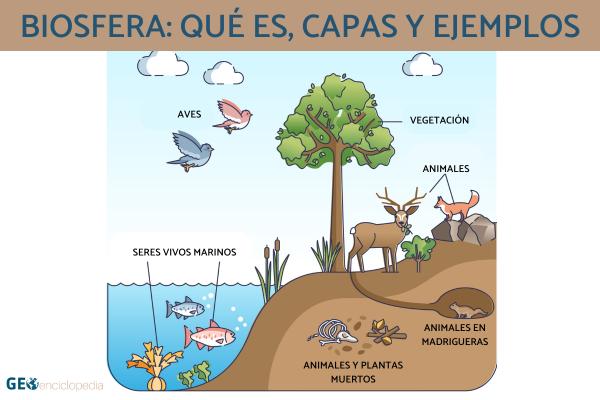 tipos de ecosistemas en la tierra cual es el mas fascinante