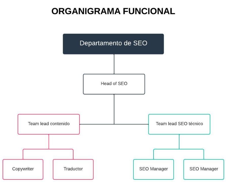 Tipos de Estructura Organizacional: Claves Sorprendentes 2 tipos de estructura organizacional claves sorprendentes