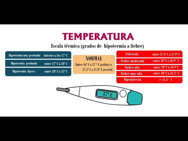 tipos de fiebre en adultos cual es tu nivel de temperatura