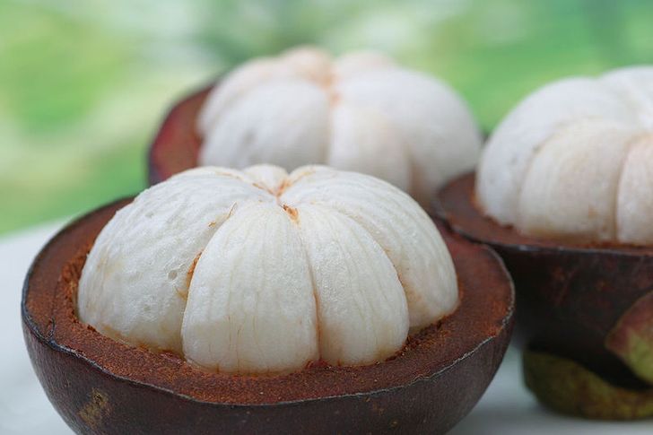 Tipos de FRUTOS: Descubre sus 12 CARACTERÍSTICAS IMPACTANTES 2 tipos de frutos descubre sus 12 caracteristicas impactantes