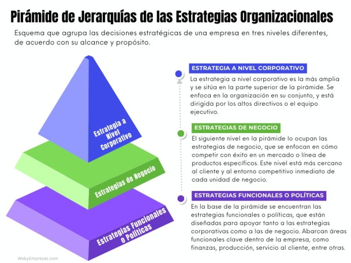 tipos de organizacion estrategias y caracteristicas clave