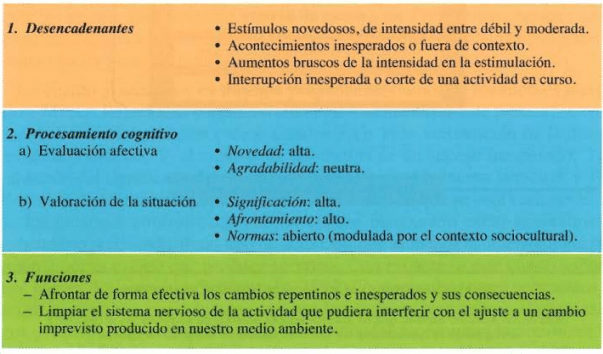Tipos de Pensamiento en Psicología: Ejemplos Sorprendentes 2 tipos de pensamiento en psicologia ejemplos sorprendentes