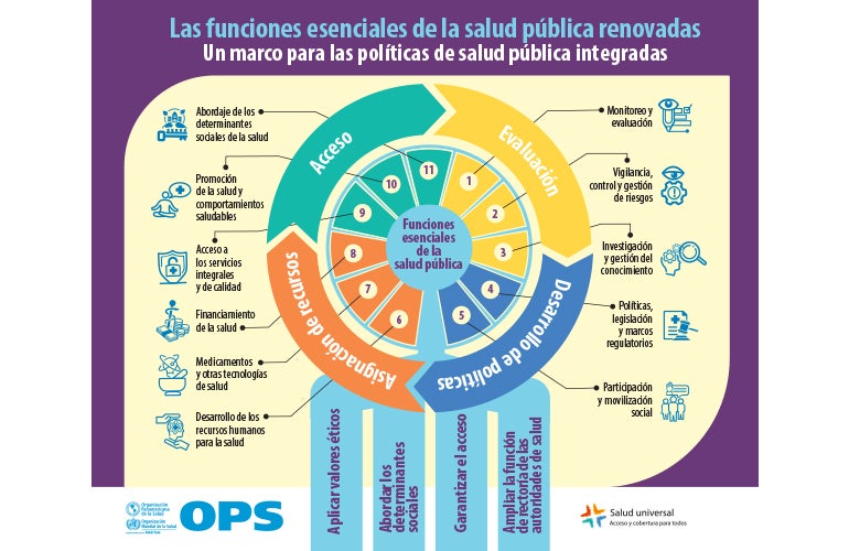 tipos de salud ejemplos clave y caracteristicas esenciales