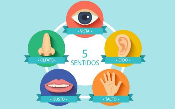 Tipos de SENSACIONES: Descubre lo que CAPTA tu CUERPO 2 tipos de sensaciones descubre lo que capta tu cuerpo