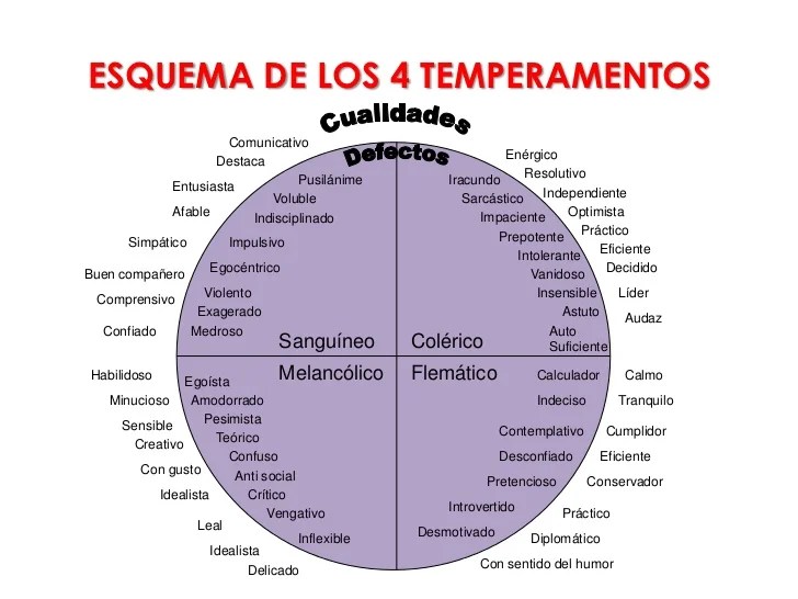tipos de temperamento descubre sus caracteristicas ahora
