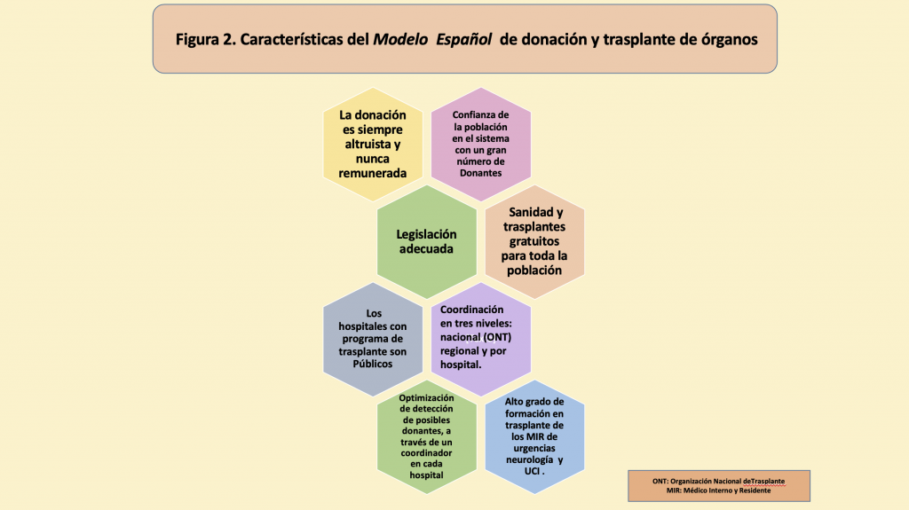 Tipos de Trasplantes: Características que Debes Conocer 2 tipos de trasplantes caracteristicas que debes conocer