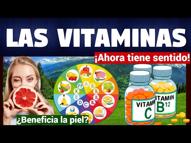 tipos de vitaminas clasificacion y beneficios para tu salud