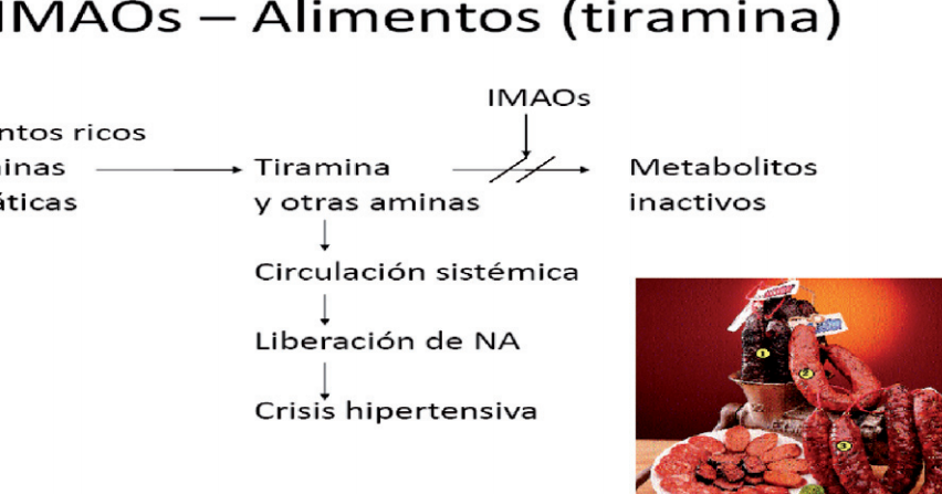 TIRAMINA: ¡Increíbles Beneficios para Tu Salud Revelados! 2 tiramina increibles beneficios para tu salud revelados