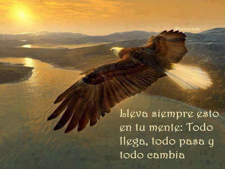 todo llega y todo pasa acepta el cambio en tu vida
