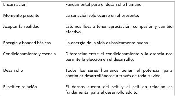 transferencia y contratransferencia ejemplos clave reveladores