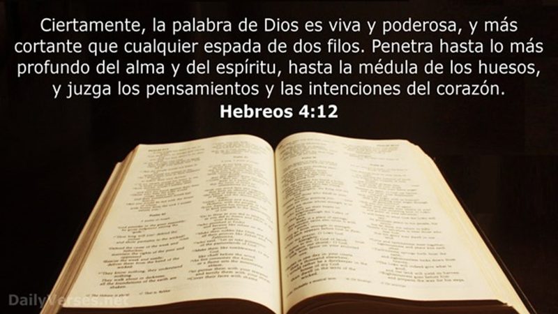 Transforma Tu Vida: El Poder de tus Intenciones 2 transforma tu vida el poder de tus intenciones