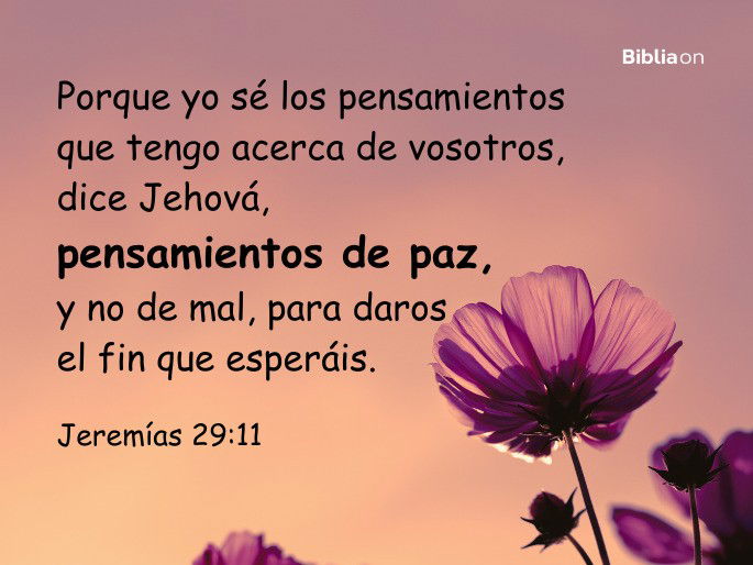 Transforma Vidas: Aprende a Hacer el Bien Sin Esperar Más 2 transforma vidas aprende a hacer el bien sin esperar mas