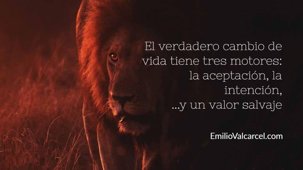 Transformación Personal: Claves para Cambiar tu Vida Ahora 2 transformacion personal claves para cambiar tu vida ahora