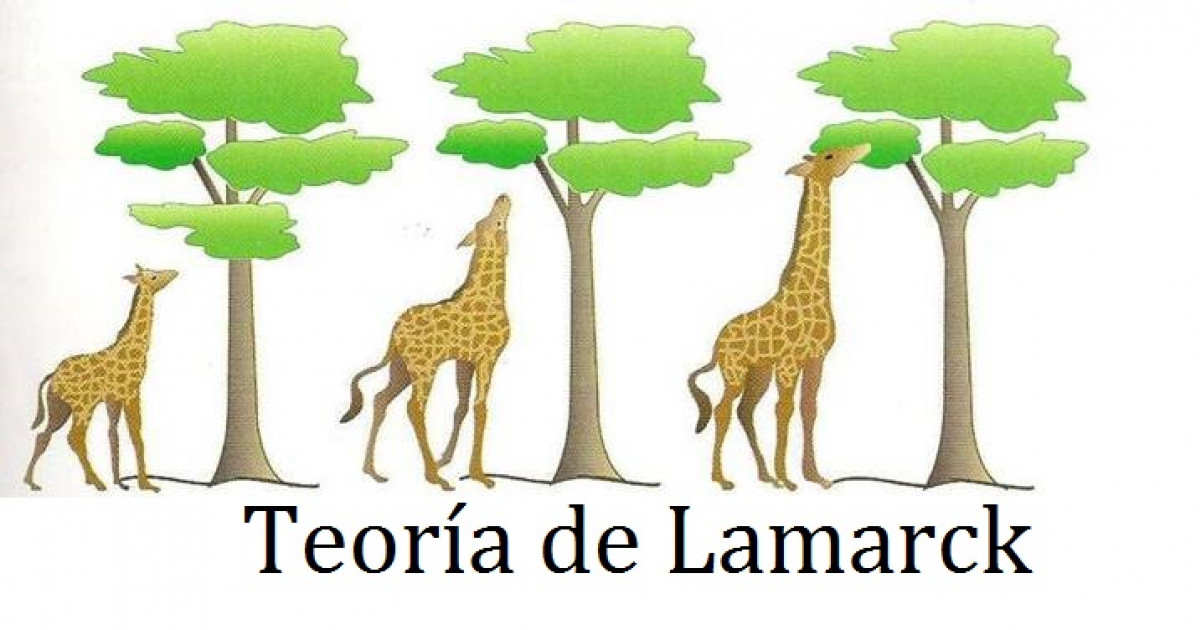 transformismo y lamarck claves de la evolucion de especies