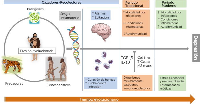 Trastornos CLÚSTER C: ENTENDIENDO la ANSIEDAD y EVITACIÓN 2 trastornos cluster c entendiendo la ansiedad y evitacion