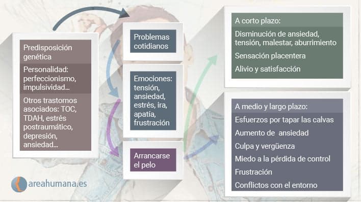 TRICOTILOMANIA: Causas y SOLUCIONES para la Compulsión 2 tricotilomania causas y soluciones para la compulsion