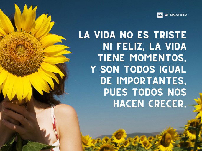 Tristeza y Alegría: Dónde Está la Verdadera Felicidad 2 tristeza y alegria donde esta la verdadera felicidad
