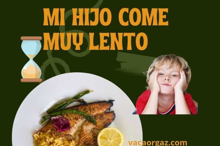 tu hijo no quiere comer soluciones rapidas y efectivas