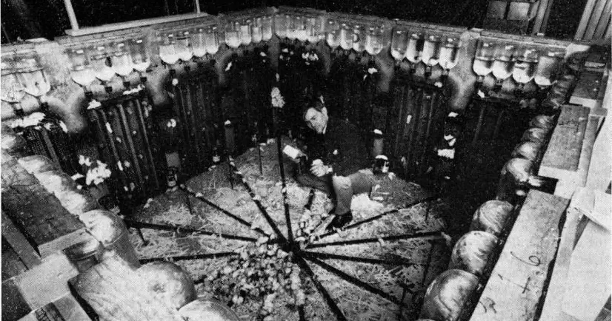 Universo 25: El Sorprendente Experimento que Impactó al Mundo 25 universo 25 el sorprendente experimento que impacto al mundo