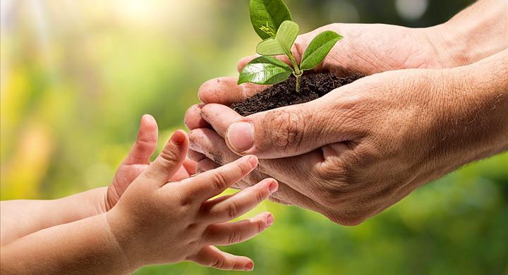 Valores AMBIENTALES que IMPORTAN - Descubre su IMPORTANCIA 2 valores ambientales que importan descubre su importancia