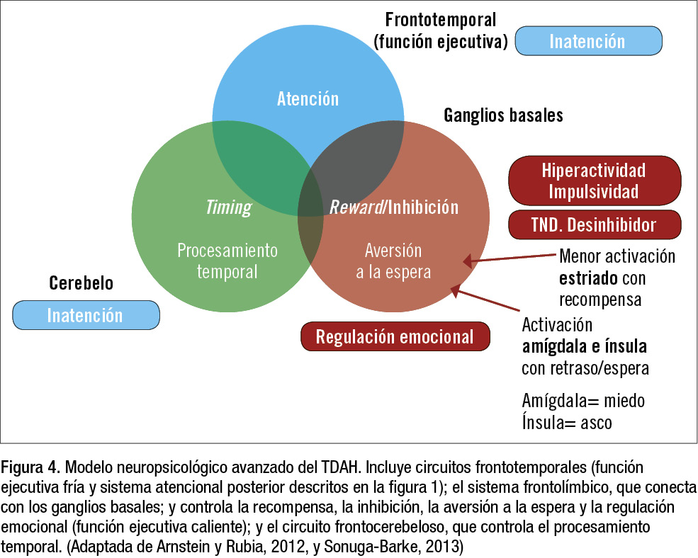variable estocastica en psicologia que no saben los genes