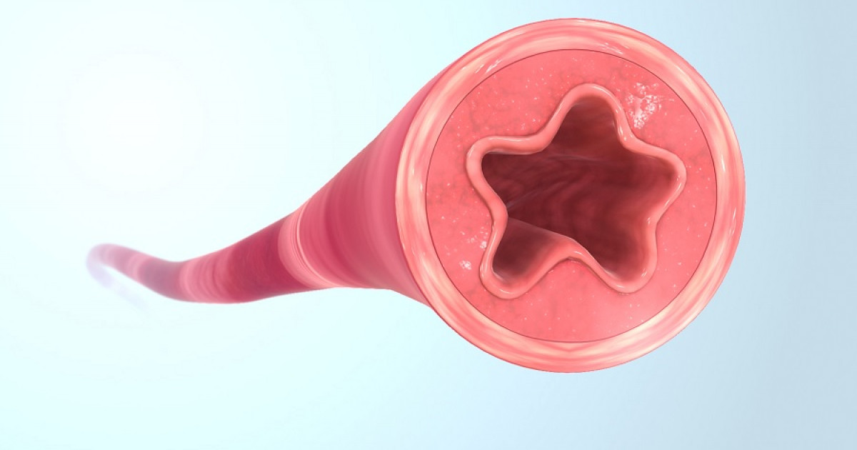 vasoconstriccion definicion funcionamiento y beneficios