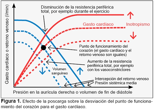 VASOCONSTRICCIÓN: QUÉ ES FUNCIONAMIENTO y USO en TERAPIA 2 vasoconstriccion que es funcionamiento y uso en terapia