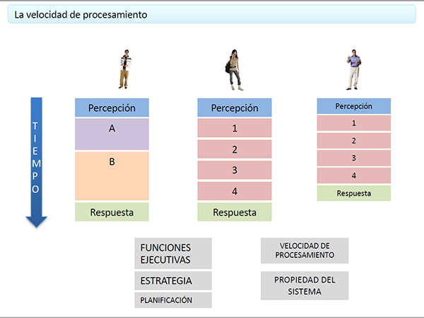 Velocidad de PROCESAMIENTO COGNITIVO: En QUÉ NIVEL ESTÁS 2 velocidad de procesamiento cognitivo en que nivel estas