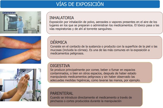 VENENOSO vs TÓXICO: 5 DIFERENCIAS que DEBES conocer 2 venenoso vs toxico 5 diferencias que debes conocer