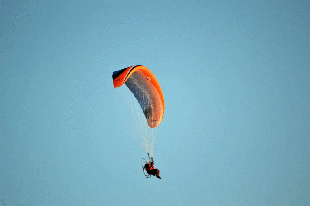 VOLAR ALTO: Aprende a LIBERARTE y TRANSFORMAR tu VIDA 2 volar alto aprende a liberarte y transformar tu vida