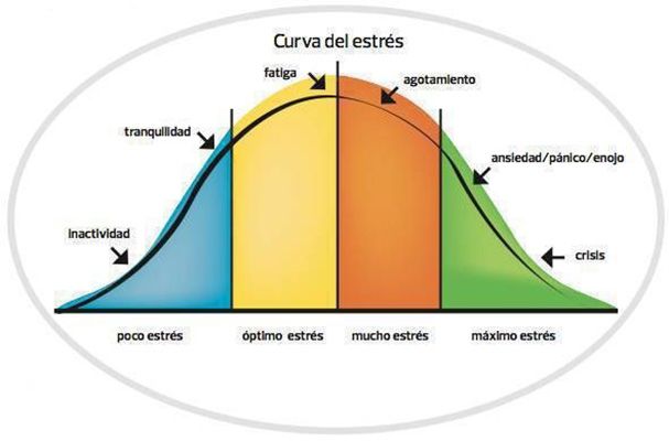 YERKES-DODSON: El VÍNCULO entre ESTRÉS y RENDIMIENTO 2 yerkes dodson el vinculo entre estres y rendimiento